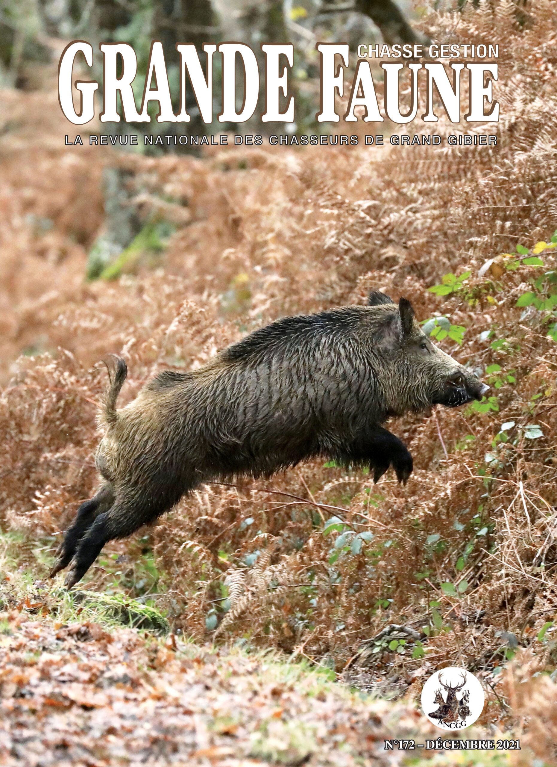 Perfectionnement au tir de chasse