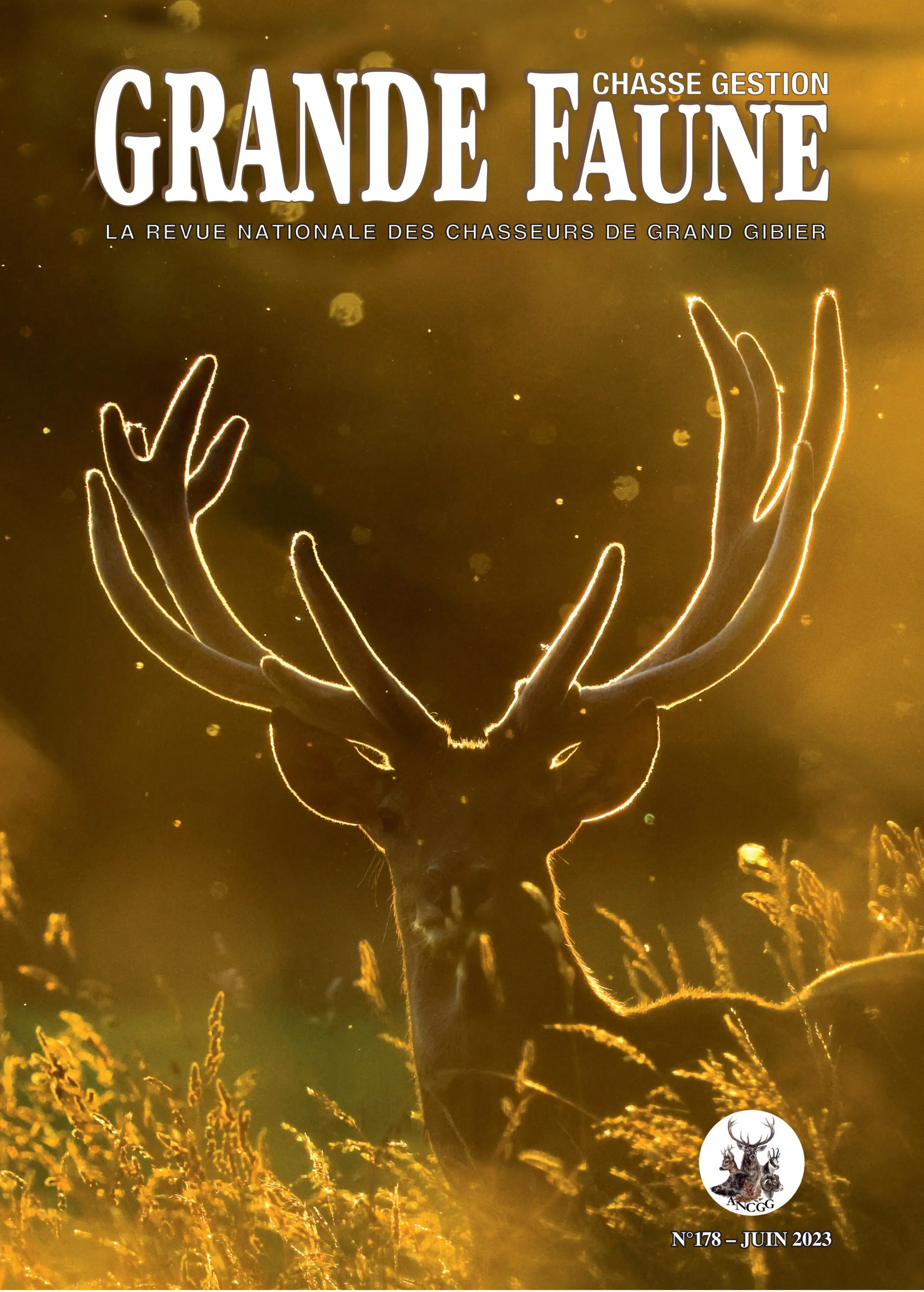 Fin de la chasse au renard