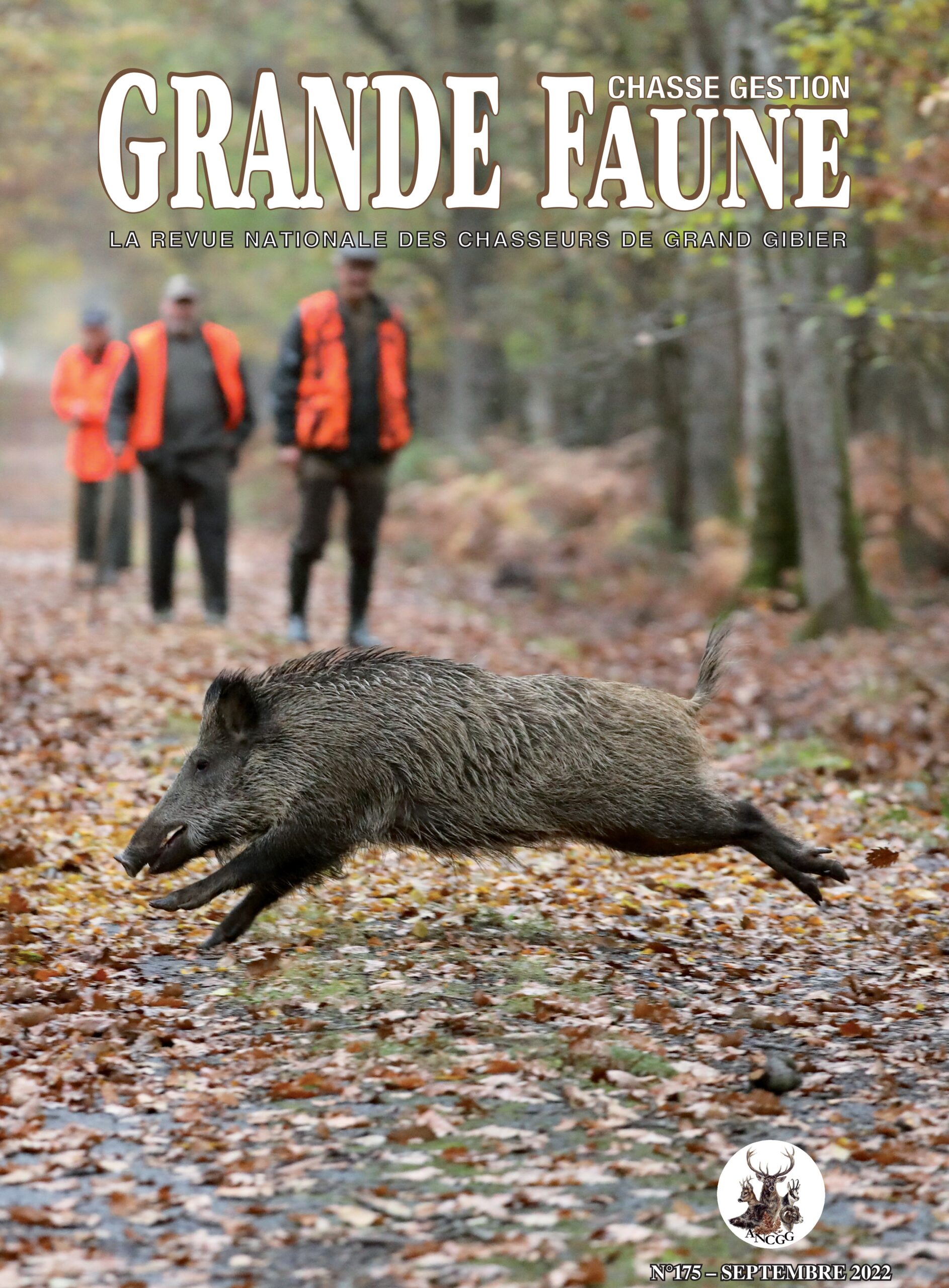 Revue Grande Faune N° 175